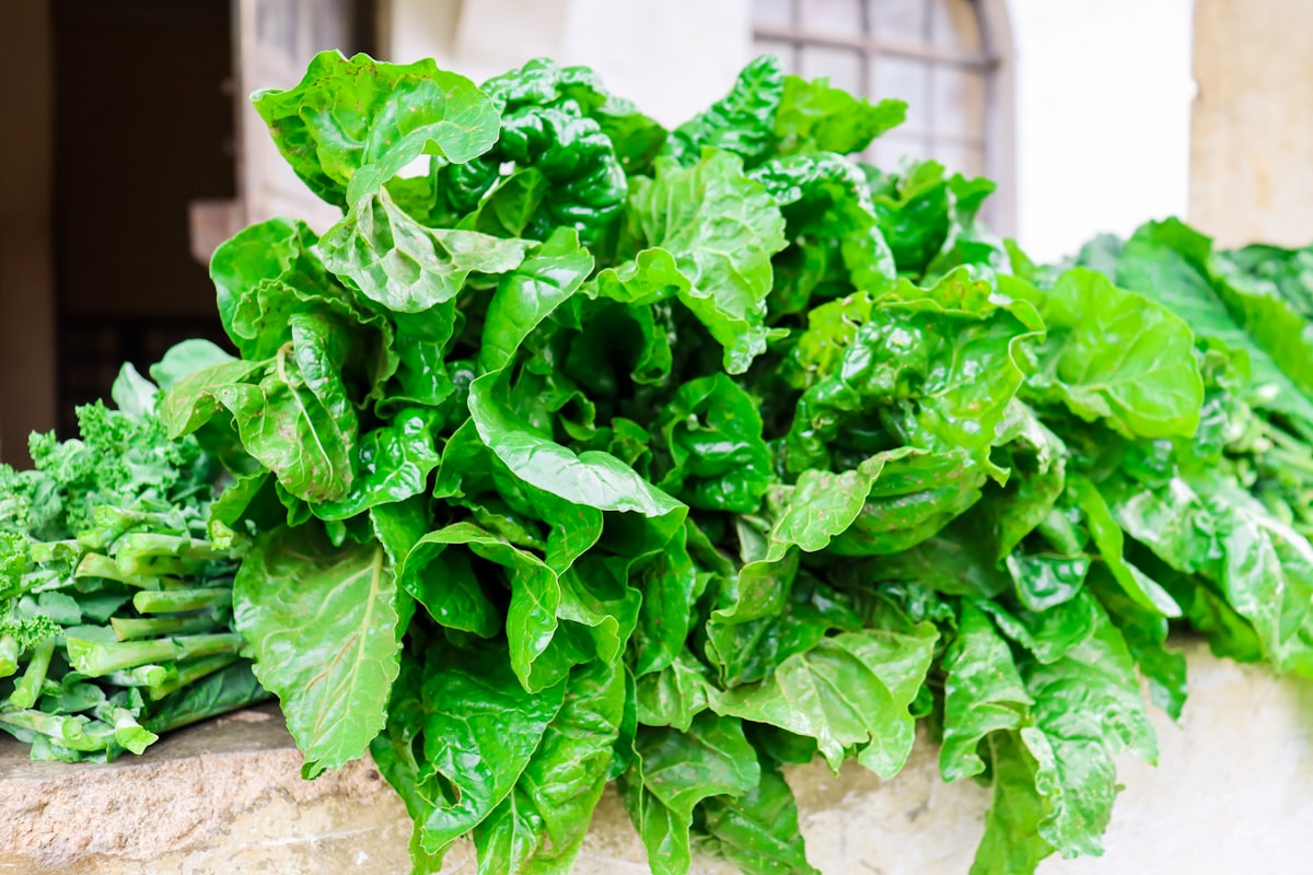Leafy green vegetables rich in lutein
